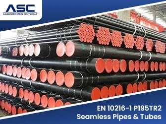 EN 10216-1 P195TR2 Seamless Pipes & Tubes